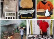 Polda Sumut Gencarkan Operasi Narkoba: 342 Tersangka Diamankan dalam 5 Hari, 57 Sarang Digerebek