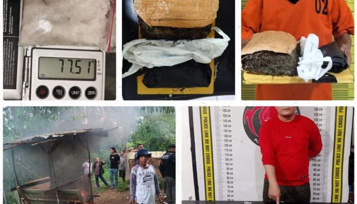 Polda Sumut Gencarkan Operasi Narkoba: 342 Tersangka Diamankan dalam 5 Hari, 57 Sarang Digerebek