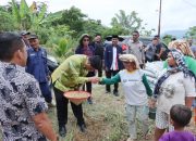 Dukung Asta Cita Presiden, Bupati Samosir Tanam 16 Ton Bibit Bawang Putih di Simanindo