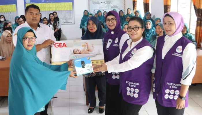 Tim Pembina Posyandu Simalungun Sosialisasikan Transformasi 6 SPM, Target Zero New Stunting 2027