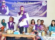 Ketua TP PKK Simalungun Dorong Transformasi Posyandu 6 Siklus Hidup di Panei