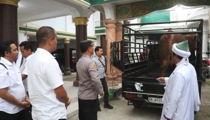 Kapolda Sumut Serahkan Sapi Kurban 600 Kg ke Persulukan Serambi Babussalam Simalungun