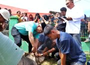 Bupati Simalungun Sembelih 10 Ekor Sapi Kurban, Warga Padati Lapangan Bolaki Rambung Merah Rayakan Idul Adha 1447 H