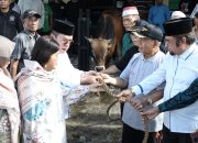 Keluarga Wali Kota Pematangsiantar Serahkan Sapi Kurban ke MUI, Rencana Penetapan Wesly Silalahi sebagai Bapak Kerukunan Mengemuka