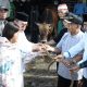Keluarga Wali Kota Pematangsiantar Serahkan Sapi Kurban ke MUI, Rencana Penetapan Wesly Silalahi sebagai Bapak Kerukunan Mengemuka