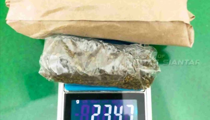 Satnarkoba Polres Pematangsiantar Tangkap Pemuda 19 Tahun Bawa Ganja 23,47 Gram