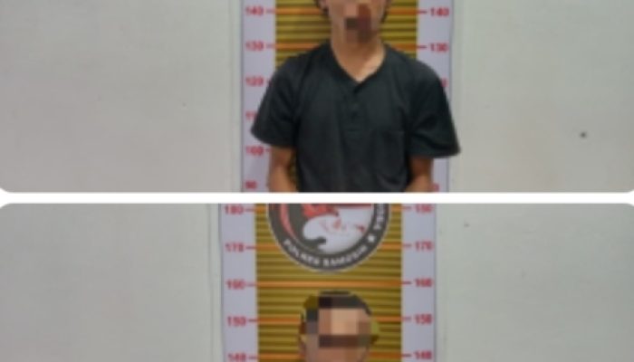Satres Narkoba Polres Samosir Tangkap Dua Pria Pengedar Ganja di Pangururan