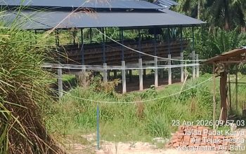 Warga Asahan Sorot Peternakan Ayam PT AKH, Diduga Jalan Dulu Urus Izin Kemudian