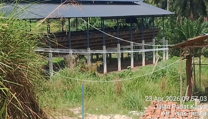 Warga Asahan Sorot Peternakan Ayam PT AKH, Diduga Jalan Dulu Urus Izin Kemudian