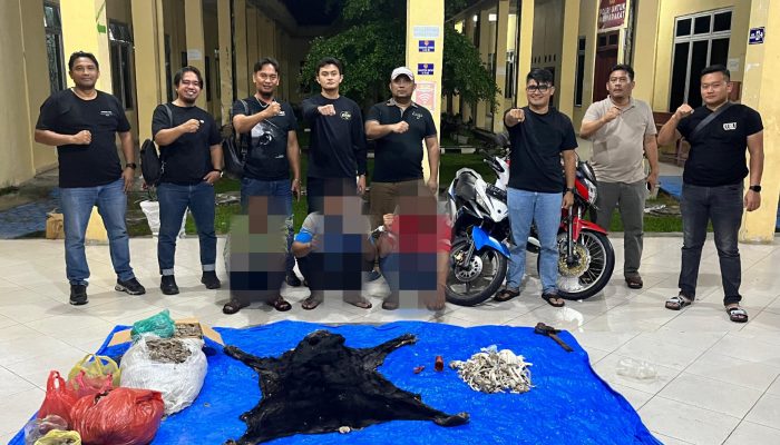 Polres Simalungun Gagalkan Perdagangan Satwa Dilindungi, 30 Kg Sisik Trenggiling Disita di Gerbang Tol Simpang Panei