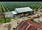 Kuasa Hukum PT CSIL: Putusan MA Batalkan SK Menhut, Tapi Tidak Batalkan HGU di Hutan Nantalu