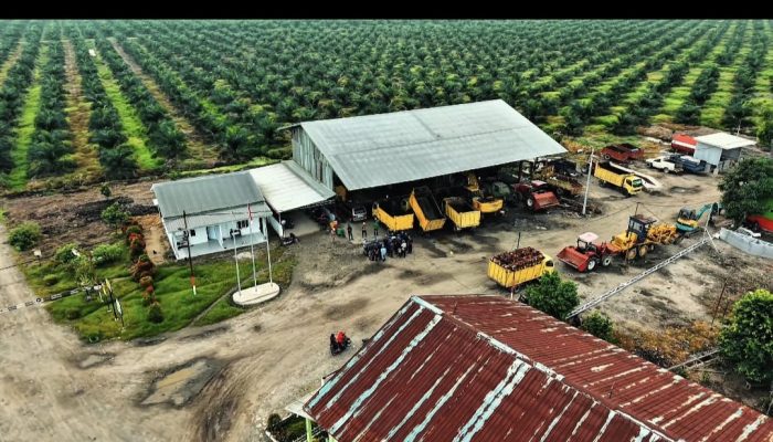 Kuasa Hukum PT CSIL: Putusan MA Batalkan SK Menhut, Tapi Tidak Batalkan HGU di Hutan Nantalu
