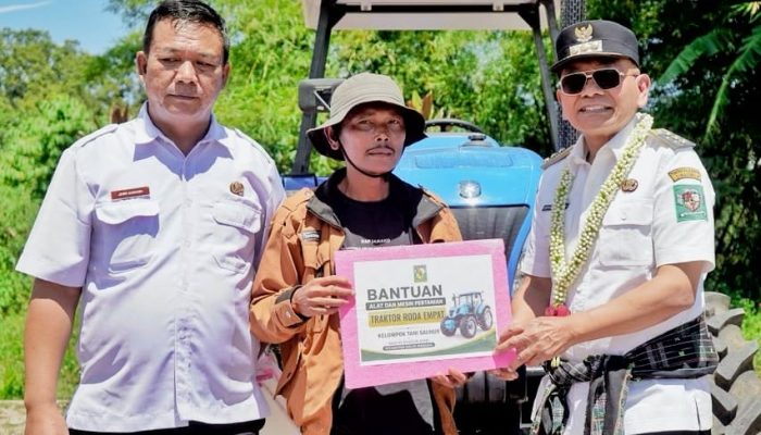 Pemkab Simalungun Serahkan Alsintan dan Gelar Panen Raya Bawang Merah, Dorong Modernisasi Pertanian