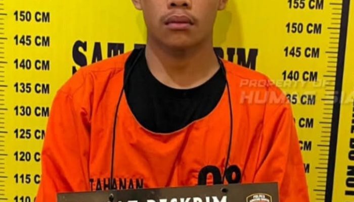 Curat Rumah Lansia 85 Tahun, Pelaku Beraksi di Siang Hari