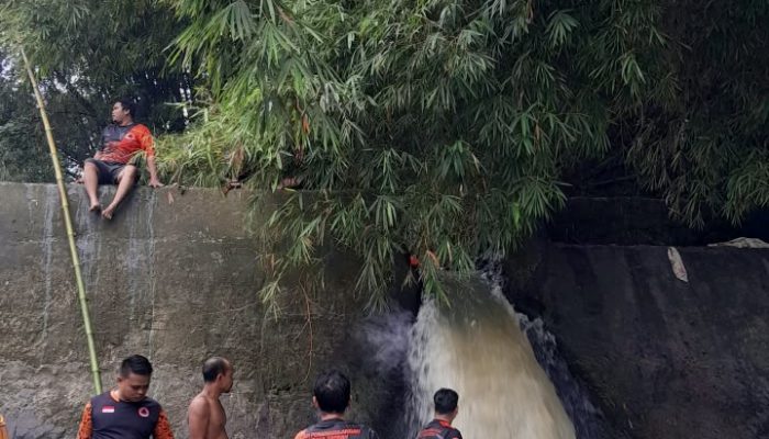 Tragis ! Ikut Ayah Cari Daun Pisang Untuk Dijual, Bocah 8 Tahun Hanyut di Sungai Bah Sosopan Belakang Terminal Tanjung Pinggir