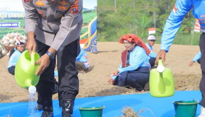 Kapolda Sumut Pimpin Penanaman Bawang Putih Serentak di Samosir, Dukung Swasembada Pangan Nasional 2026