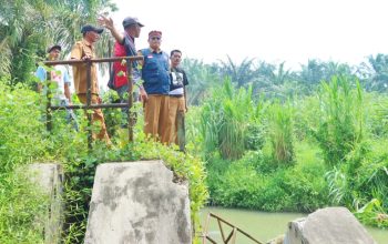 BPBD Simalungun Tinjau Kerusakan 2 Bendung di Ujung Padang, Ratusan Hektare Sawah Terancam Gagal Tanam
