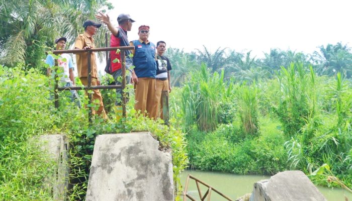 BPBD Simalungun Tinjau Kerusakan 2 Bendung di Ujung Padang, Ratusan Hektare Sawah Terancam Gagal Tanam