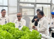 Irjen Kemenimipas Komjen Rudi Setiawan Monitoring Rutan Batam, Panen Selada Air Hasil Binaan Warga