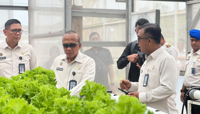 Irjen Kemenimipas Komjen Rudi Setiawan Monitoring Rutan Batam, Panen Selada Air Hasil Binaan Warga