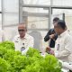 Irjen Kemenimipas Komjen Rudi Setiawan Monitoring Rutan Batam, Panen Selada Air Hasil Binaan Warga