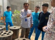 Rutan Batam Gandeng BNNP Kepri Bekali Warga Binaan Budikdamber Lele