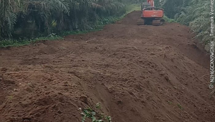 Jalan Menuju Pesona Air Umbul Tualang Baliju Akhirnya Dibuka, PTPN IV Restui Wisata Baru Simalungun
