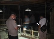 Diadukan Lewat Halo Kapolres, Gelanggang Sabung Ayam di Karang Bangun Simalungun Akhirnya Dibongkar Polisi