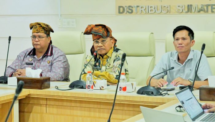 Dukung Energi Bersih, Bupati Simalungun Anton Achmad Saragih Siap Kawal Pengembangan PLTS dan BESS