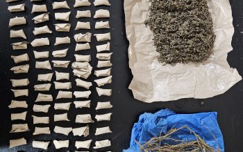 Polsek Gunung Malela Ungkap Peredaran Ganja di Sitalasari, Amankan 114 Paket Siap Edar