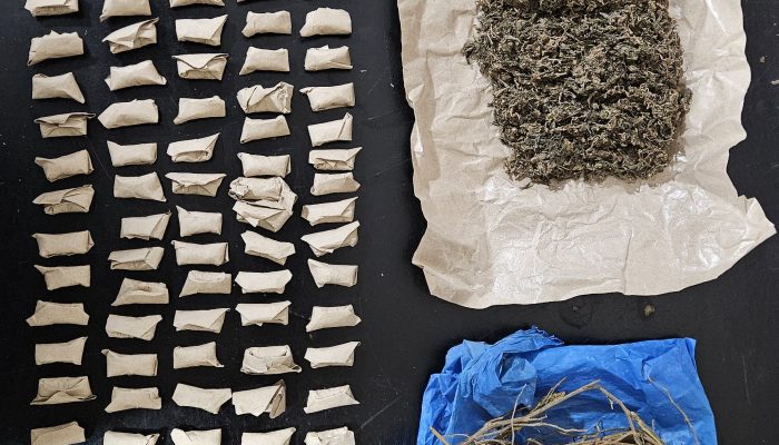 Polsek Gunung Malela Ungkap Peredaran Ganja di Sitalasari, Amankan 114 Paket Siap Edar
