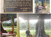 Misteri Simpang Tunggul 45: Tunggul Kayu Raja yang Tak Bisa Dipindah dan Kota Gaib di Jalinsum Asahan