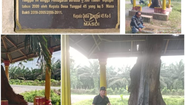 Misteri Simpang Tunggul 45: Tunggul Kayu Raja yang Tak Bisa Dipindah dan Kota Gaib di Jalinsum Asahan