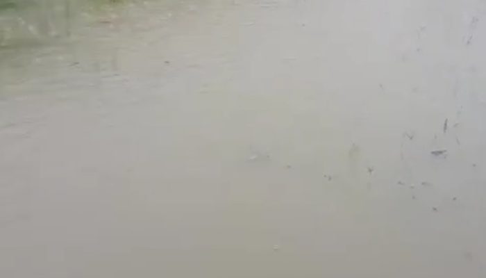 Banjir Rendam Perumahan Gilang Graha Karang Rejo, Warga Keluhkan Kades Tak Peduli dan Proyek Dana Desa Diduga Fiktif