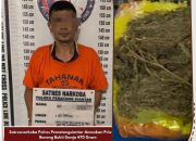 Simpan 470 Gram Ganja di Halaman SD Jalan Jati, Pria 43 Tahun ini Diciduk
