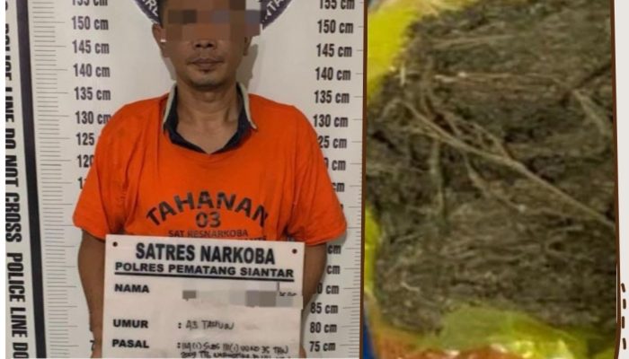 Simpan 470 Gram Ganja di Halaman SD Jalan Jati, Pria 43 Tahun ini Diciduk